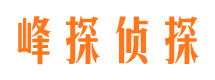 北屯镇婚外情调查取证